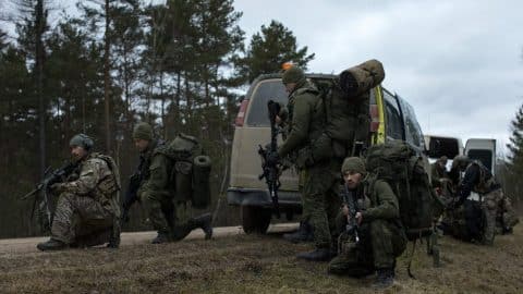 gray is here to stay