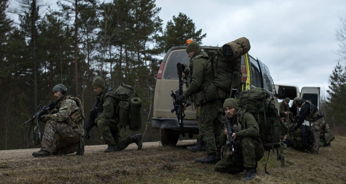 gray is here to stay