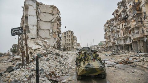 Understimate the bear